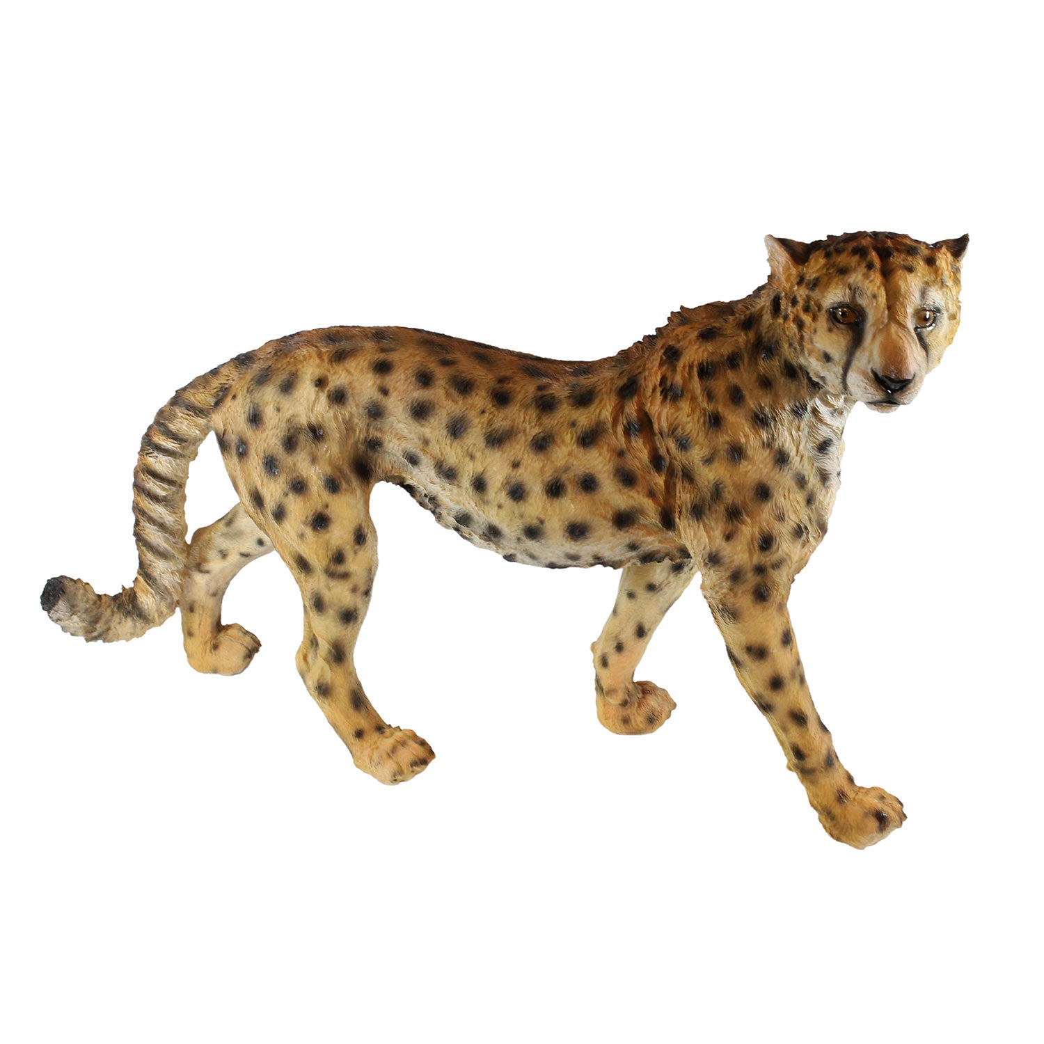 Gepard Figur stehend | Lebensechte Tierfigur Gartenfigur Tiere | 68 cm | Deko Gepard
