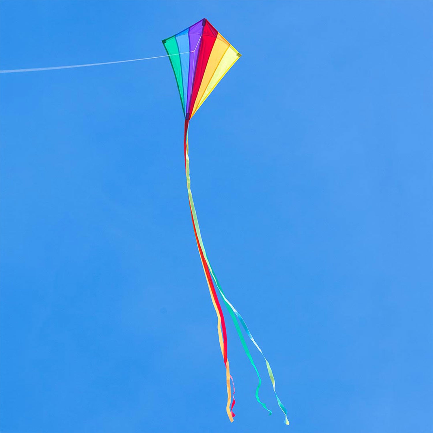 Kinderdrachen Einleiner Eddy Rainbow 70 cm HQ Drachen