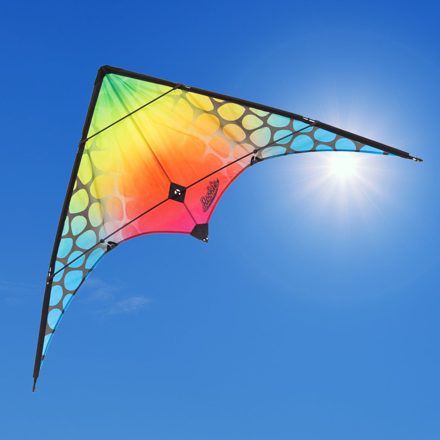 Kinderdrachen Lenkdrachen Drachen HQ Rookie Mesh 120 cm Flugdrache