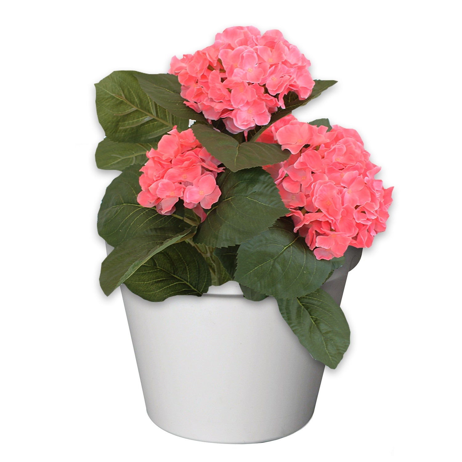 Wand Blumentopf RIO 28x20x23 cm, Pflanzkübel Robuster Übertopf Blumentopf in verschiedenen Farben