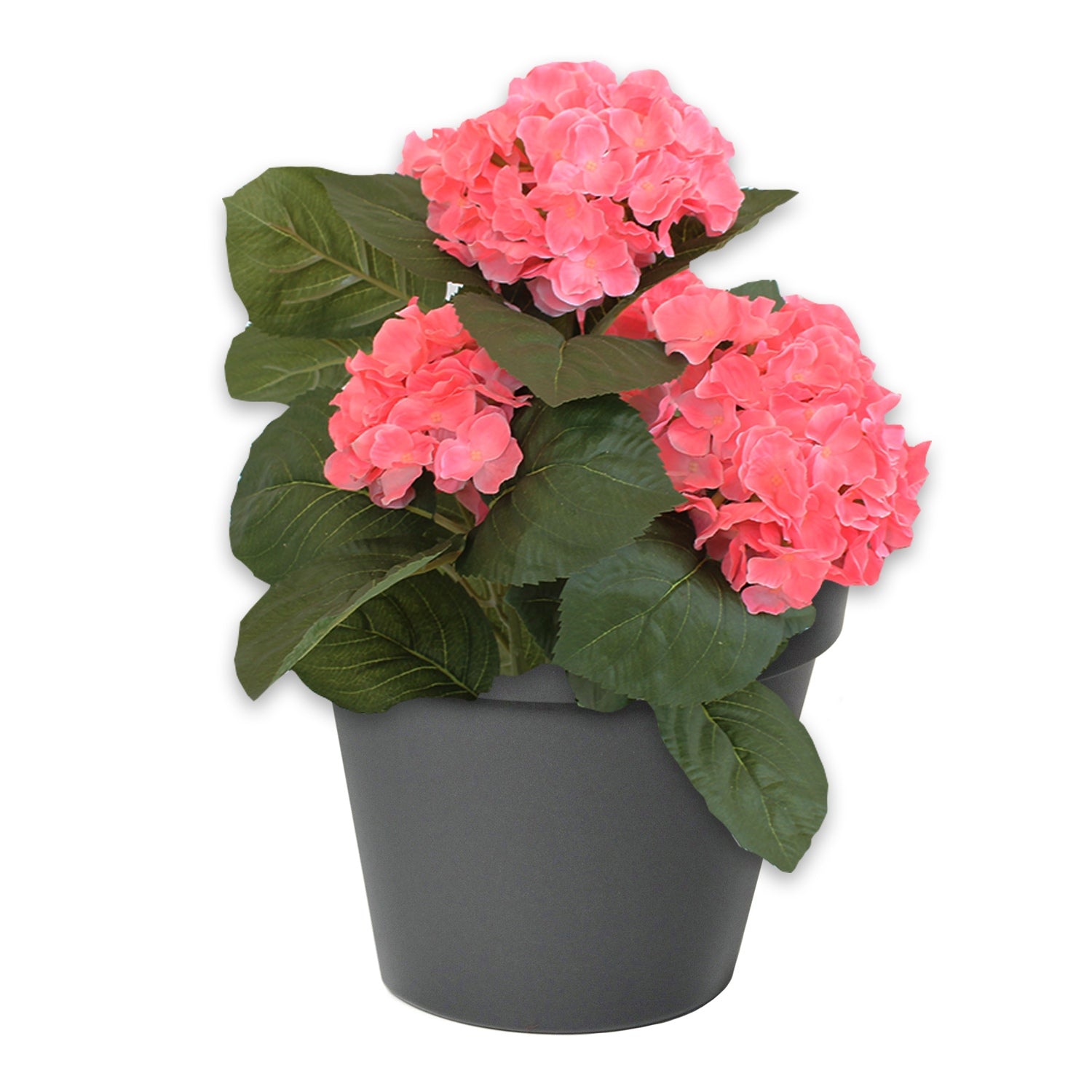 Wand Blumentopf RIO 28x20x23 cm, Pflanzkübel Robuster Übertopf Blumentopf in verschiedenen Farben