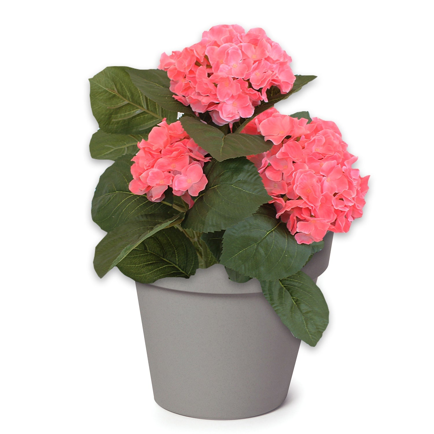 Wand Blumentopf RIO 28x20x23 cm, Pflanzkübel Robuster Übertopf Blumentopf in verschiedenen Farben