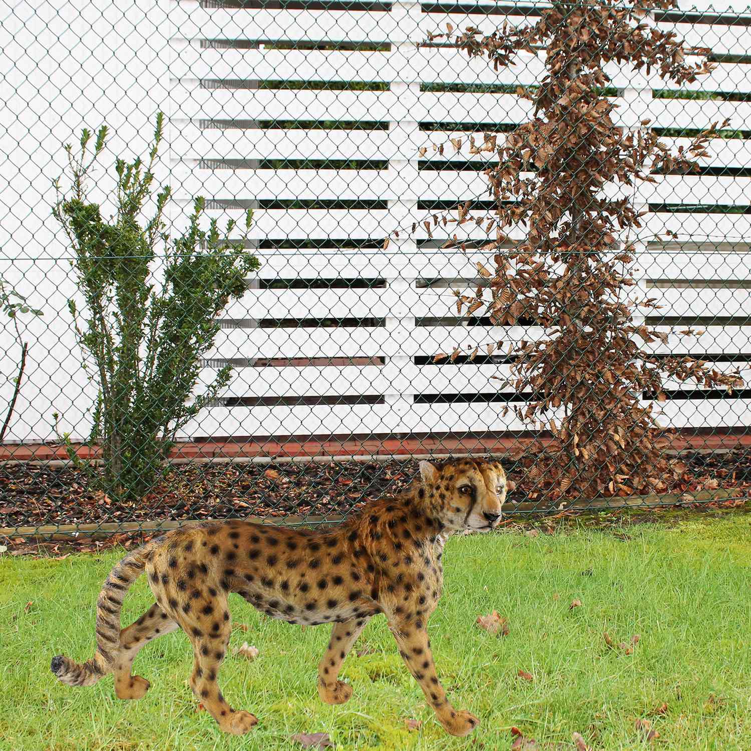 Gepard Figur stehend | Lebensechte Tierfigur Gartenfigur Tiere | 68 cm | Deko Gepard