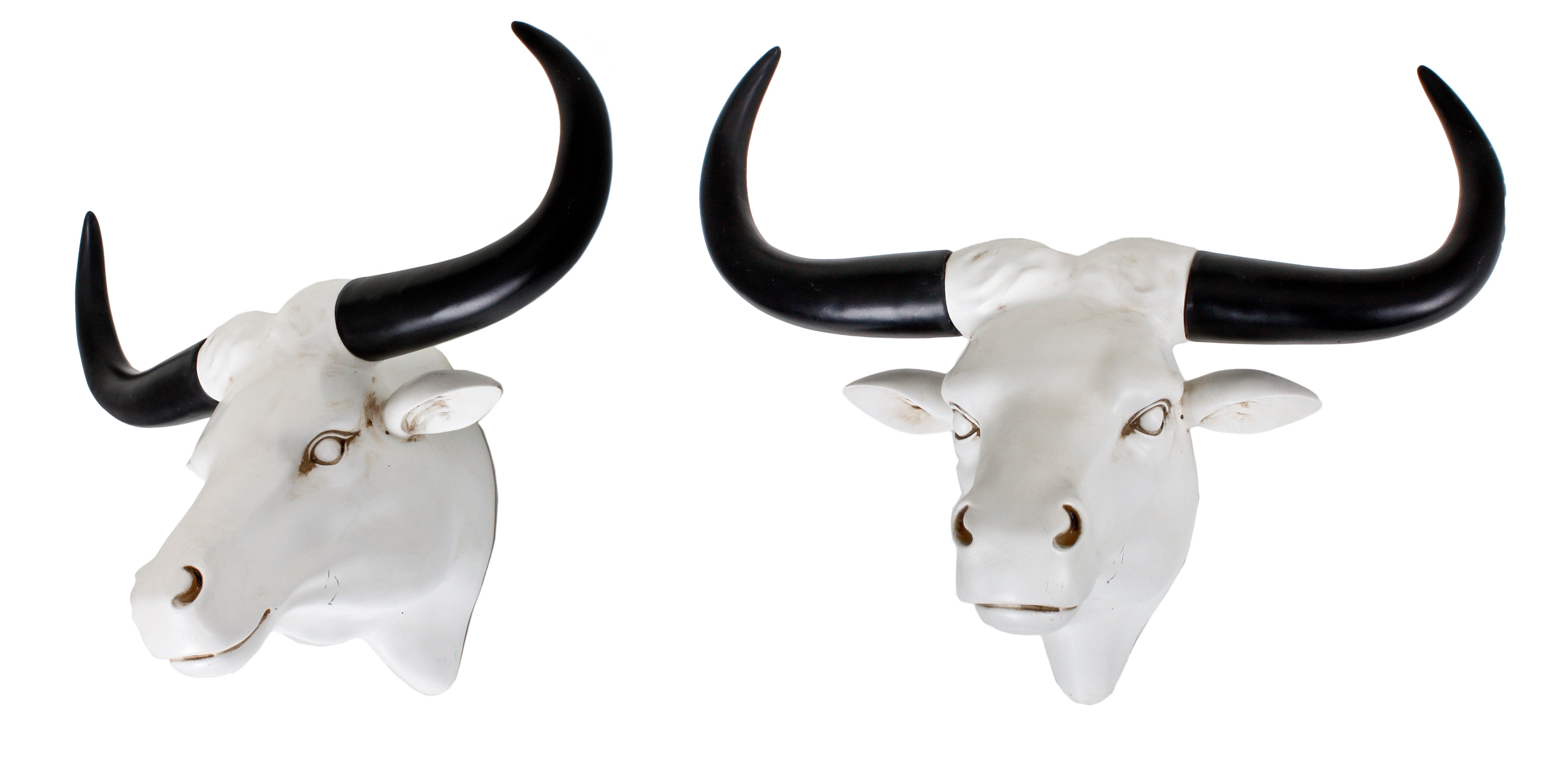 2er Set Geweih BÜFFEL Wanddeko Trophäe Wandschmuck modern Garden Pleasure