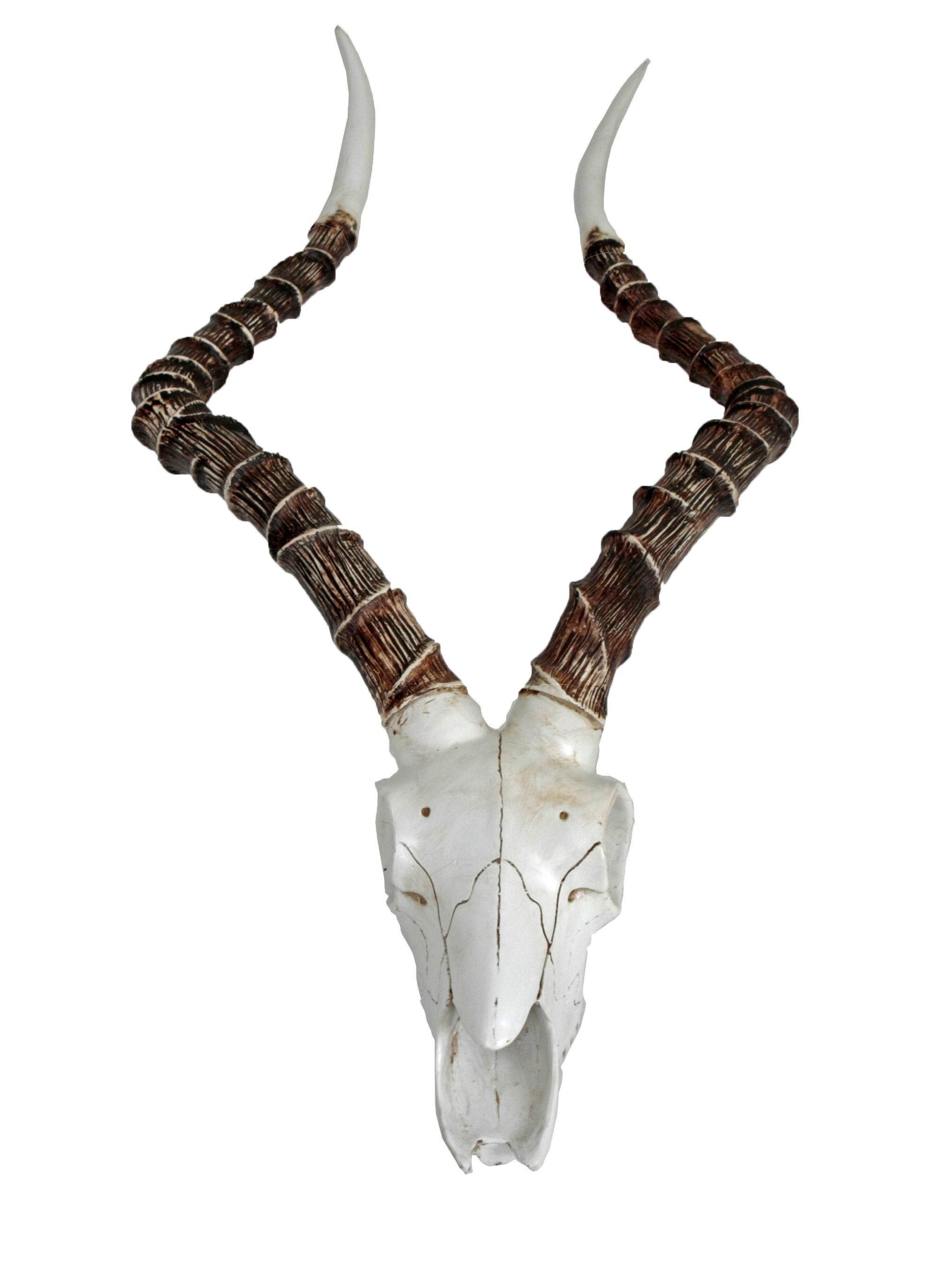 Impalakopf Wanddekoration Wandtrophäe Antilopenkopf Wandschmuck modern Deco Pleasure