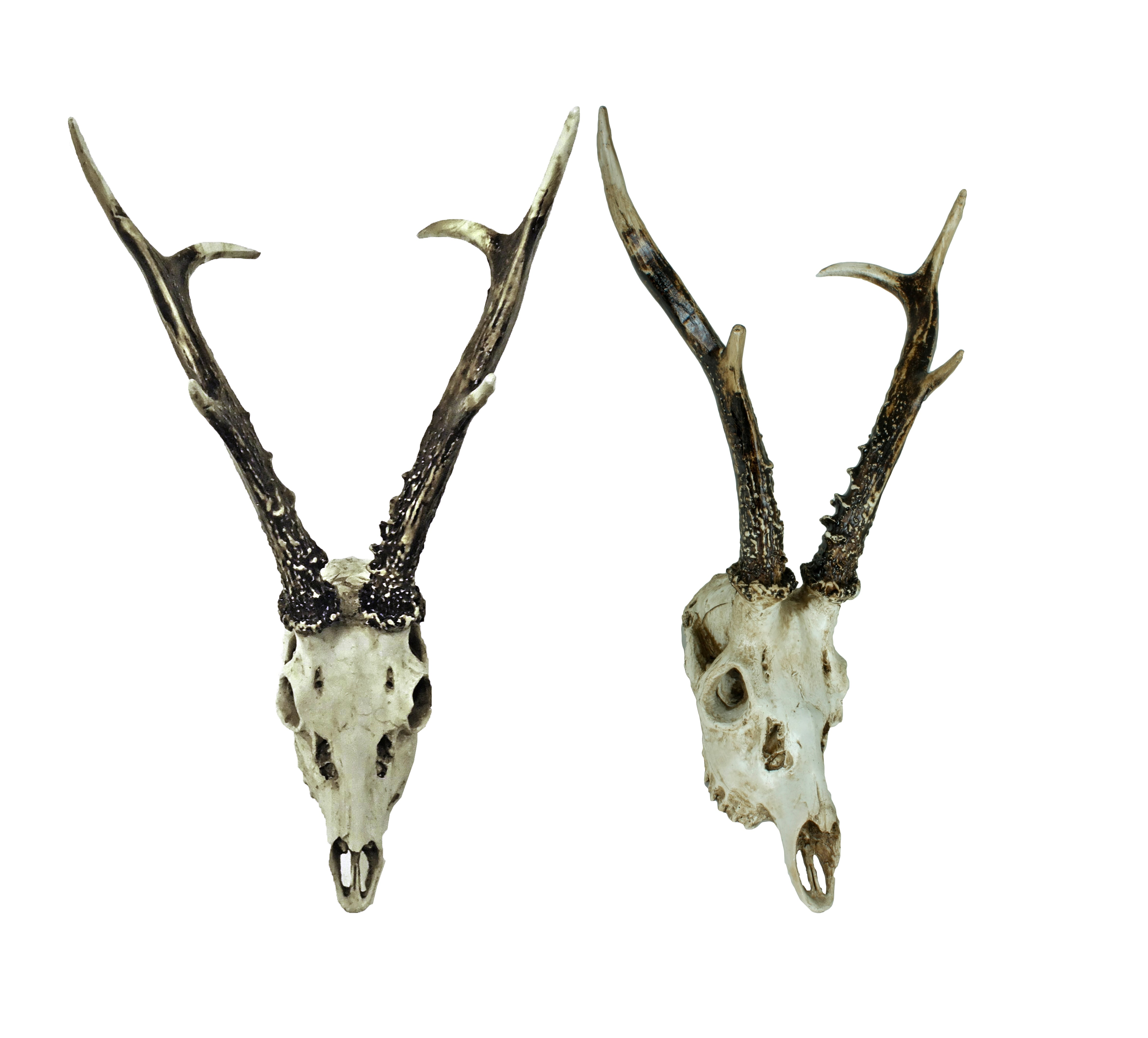 2er Set Geweih Reh Wandtrophäe Rehbock-Geweih Wandschmuck natur Deco Pleasure