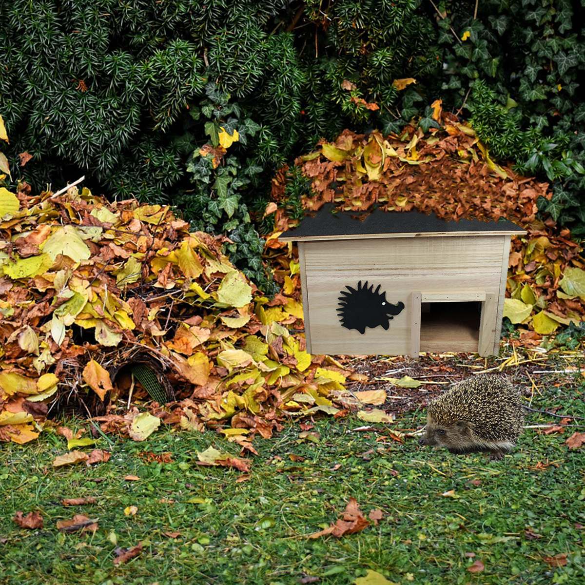 Igelhaus aus FSC-Holz mit Katzenschutz – wetterfestes Igelhotel mit abnehmbarem Dach
