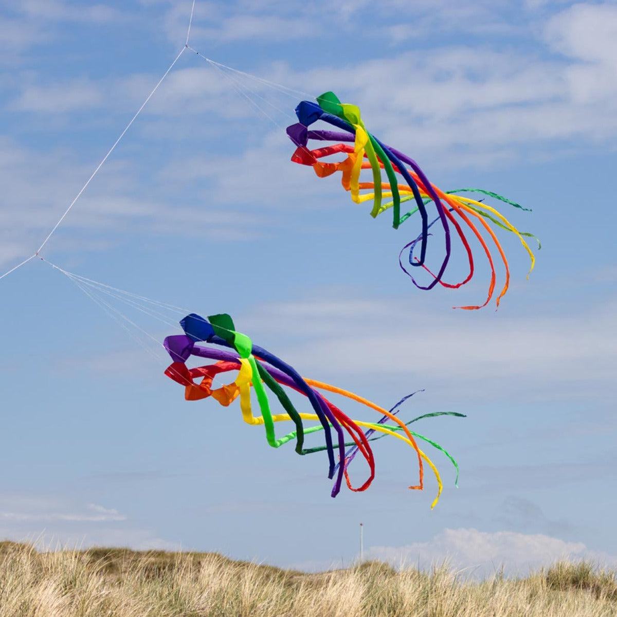 Drachenschwanz HQ Soft Swirl Rainbow 6 m Leinenschmuck Drachenzubehör
