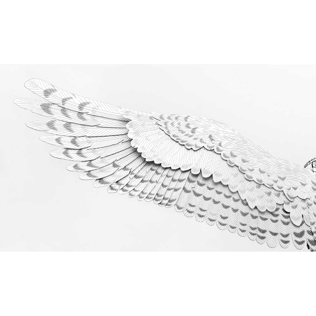 Metal Earth Premium Series Harry Potter - Hedwig PS2007 Modellbausatz Puzzle DIY Bausatz präzise gelasert stabil langlebig