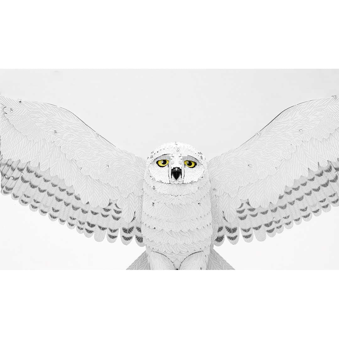 Metal Earth Premium Series Harry Potter - Hedwig PS2007 Modellbausatz Puzzle DIY Bausatz präzise gelasert stabil langlebig