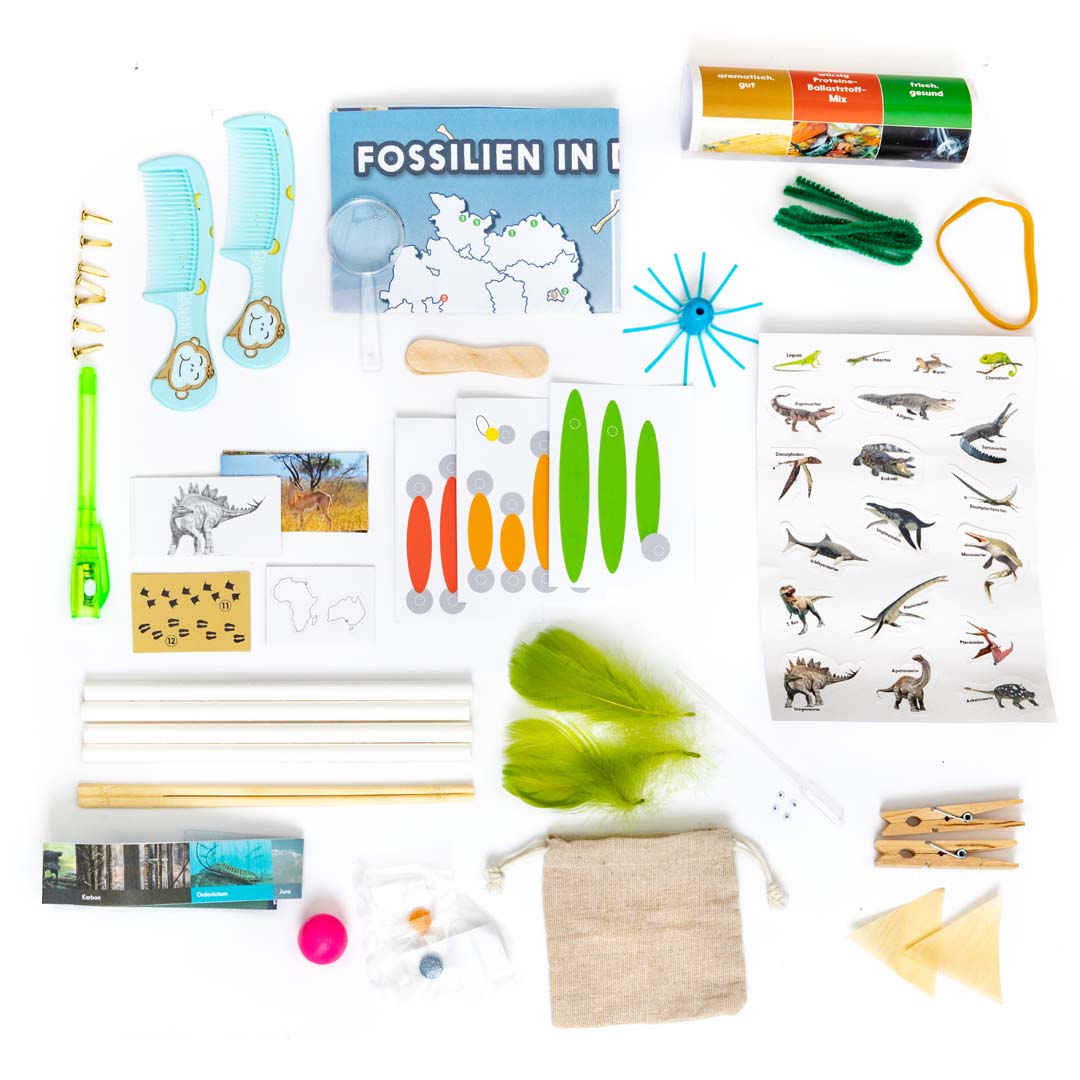 Adventskalender GEOLINO Dinosaurier Weihnachtskalender für junge Forscher und Paläontologen Franzis