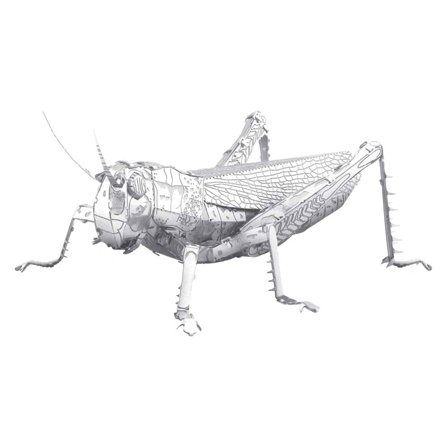 Metal Earth Grashüpfer Grasshopper ME1033 3D Figur Metallbausatz