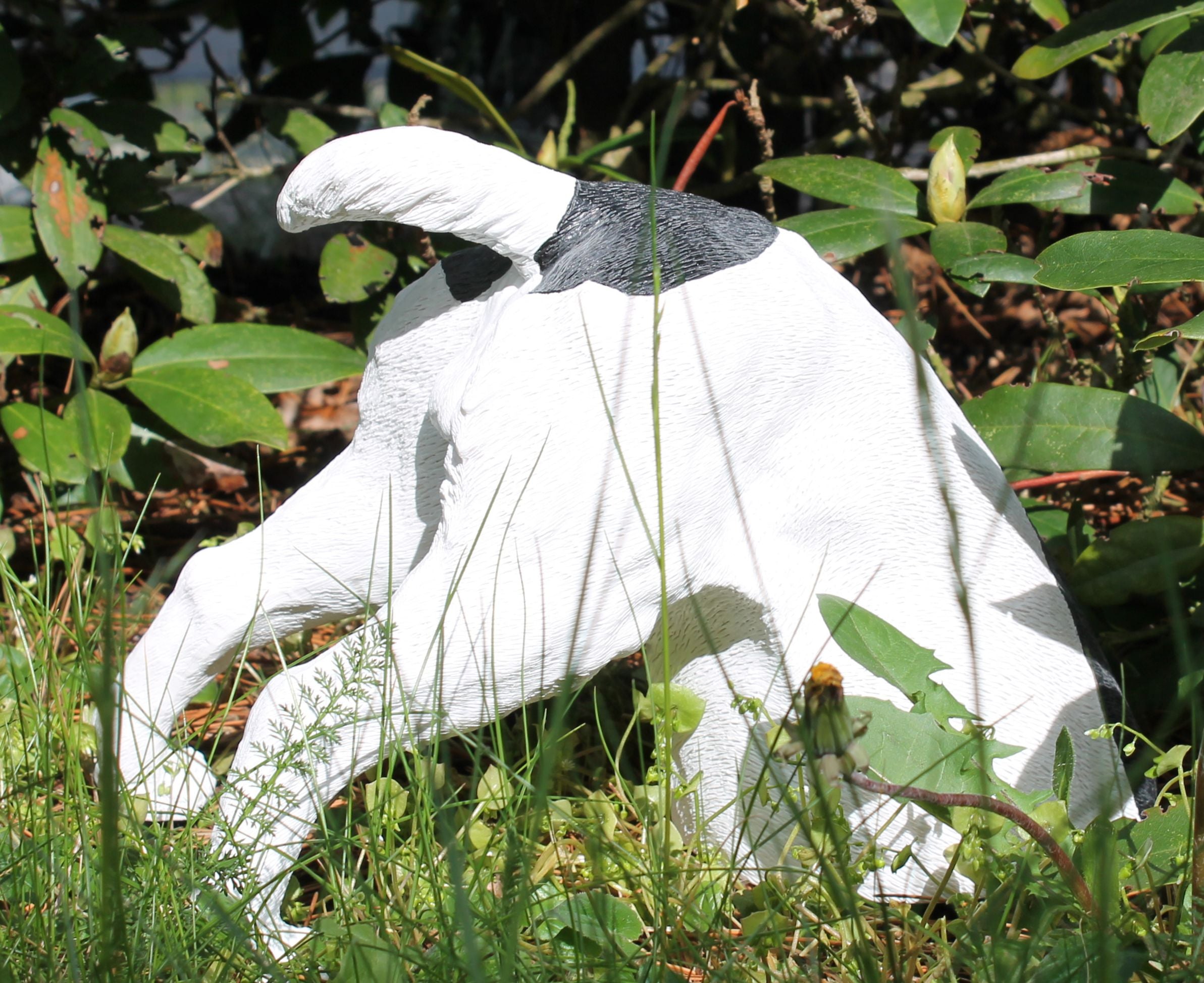 Dekofigur haber Hund grabend Jack Russell Terrier Gartendeko Hundefigur Gartenfigur