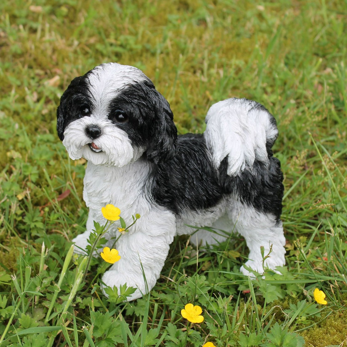Hunde Figur Shih Tzu Welpe stehend schwarz-weiß Hund Tierfigur Hundefigur
