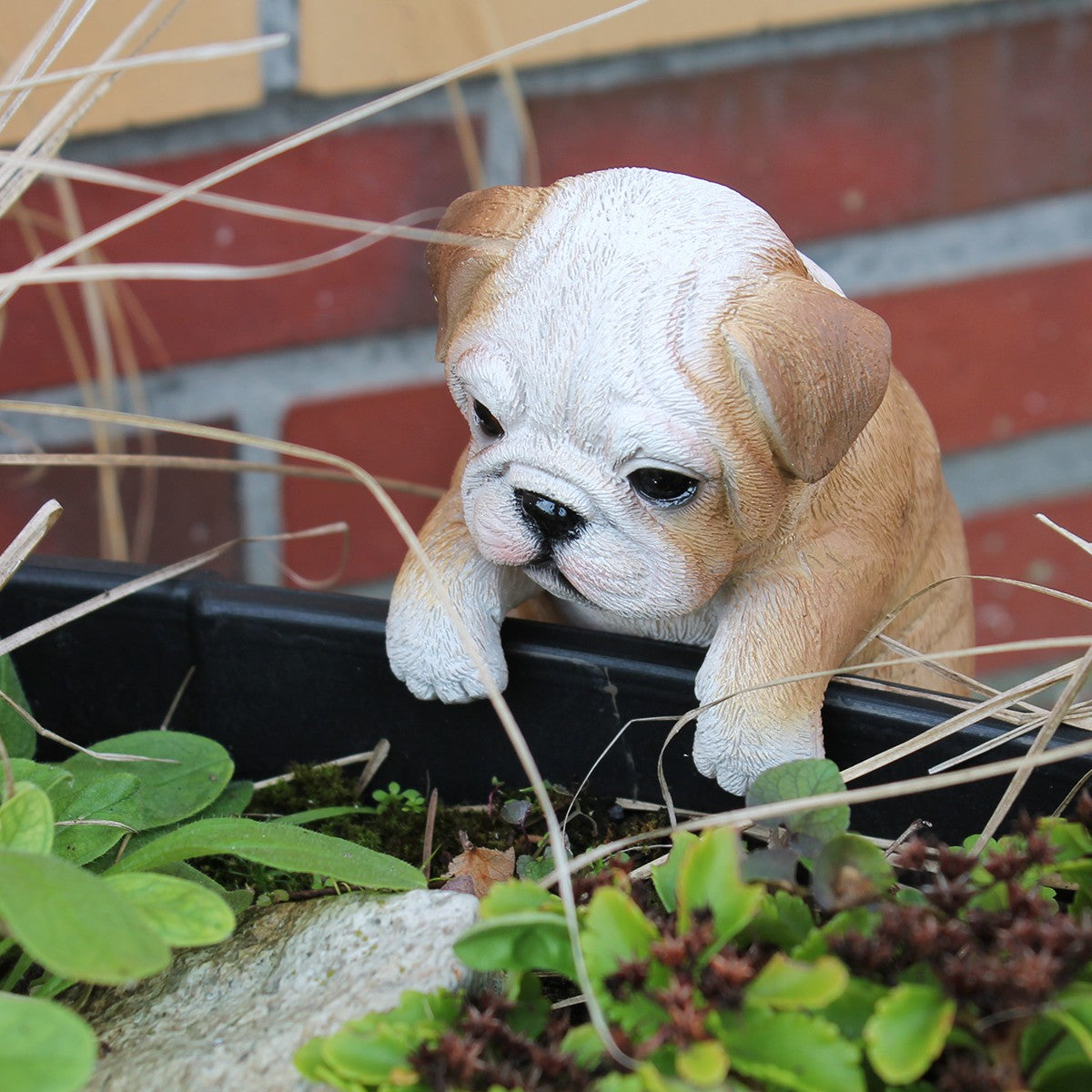 Bulldogge Figur zum Hängen Hundefigur für Blumentopf Zaun & Regal