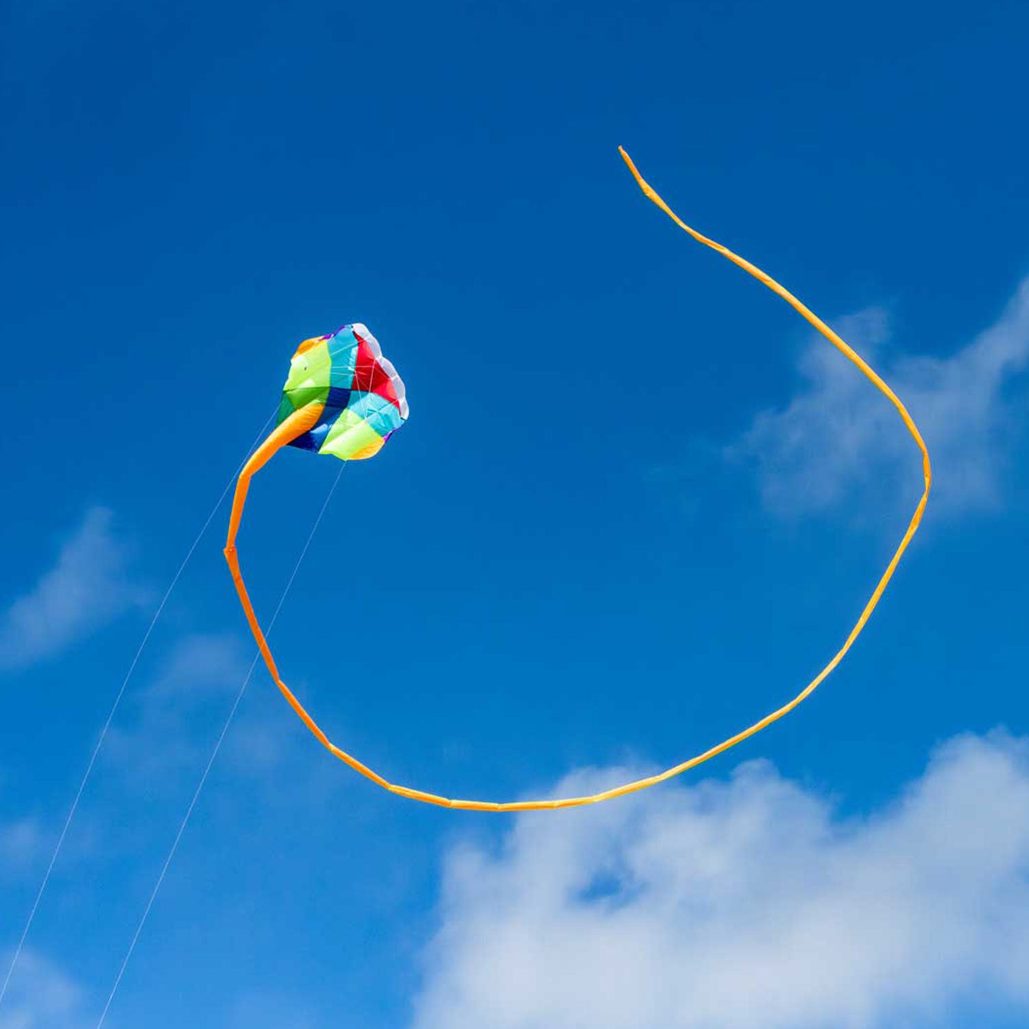 HQ Kinderdrachen Einleiner/Zweileiner Lenkdrachen Multi-Kite Prisma R2F 87 cm