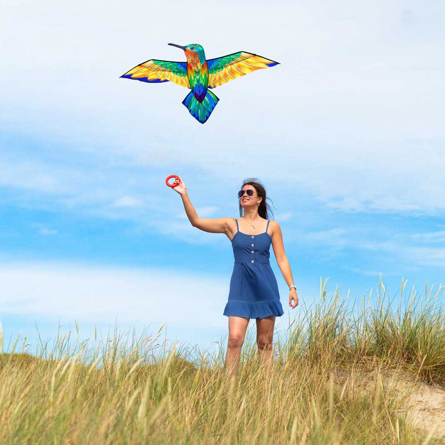 HQ Kinderdrachen Einleiner Bird Kite Hummingbird 175 cm