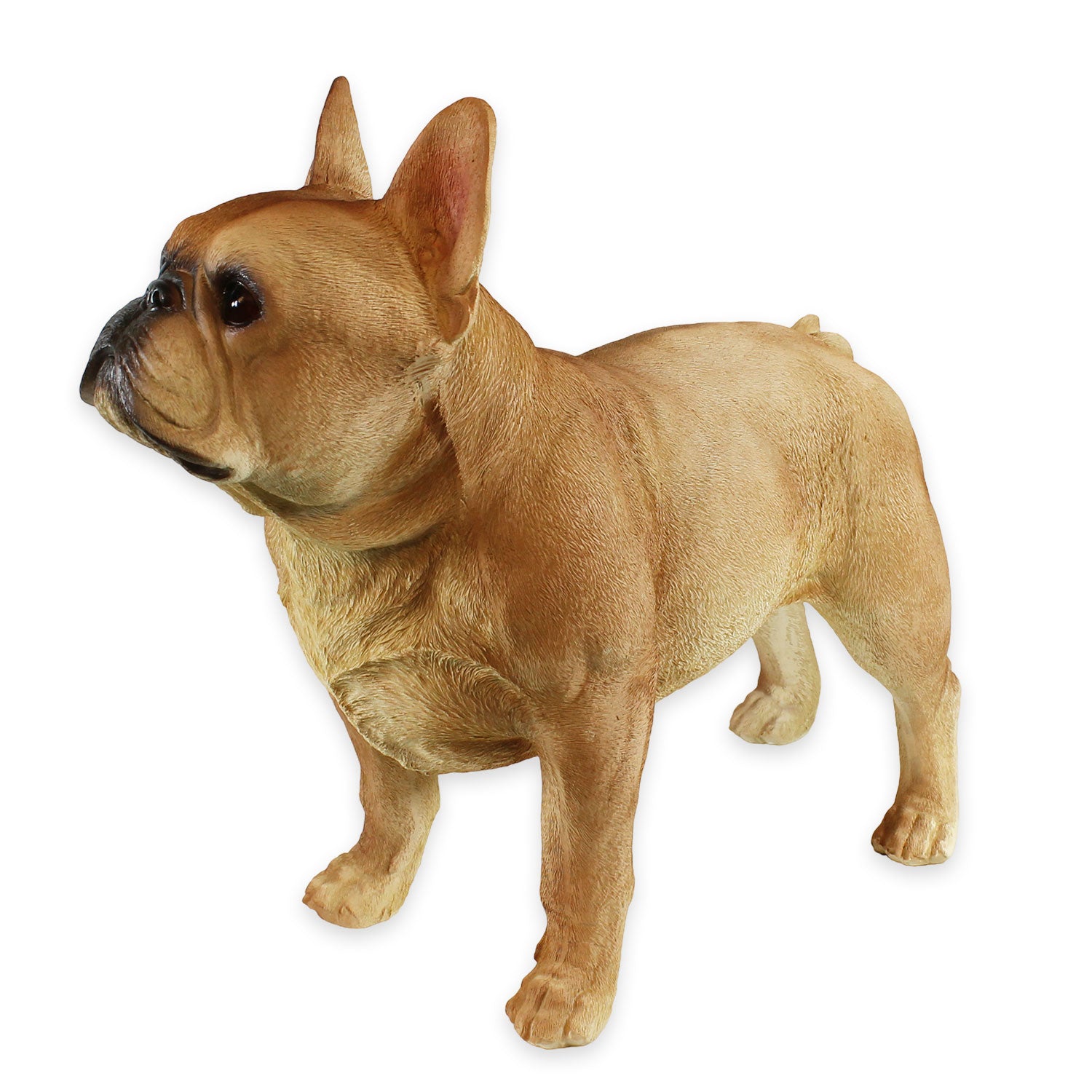 Hunde Figur Bulldogge Figur stehend | französische Bulldogge Deko Hundefiguren lebensecht