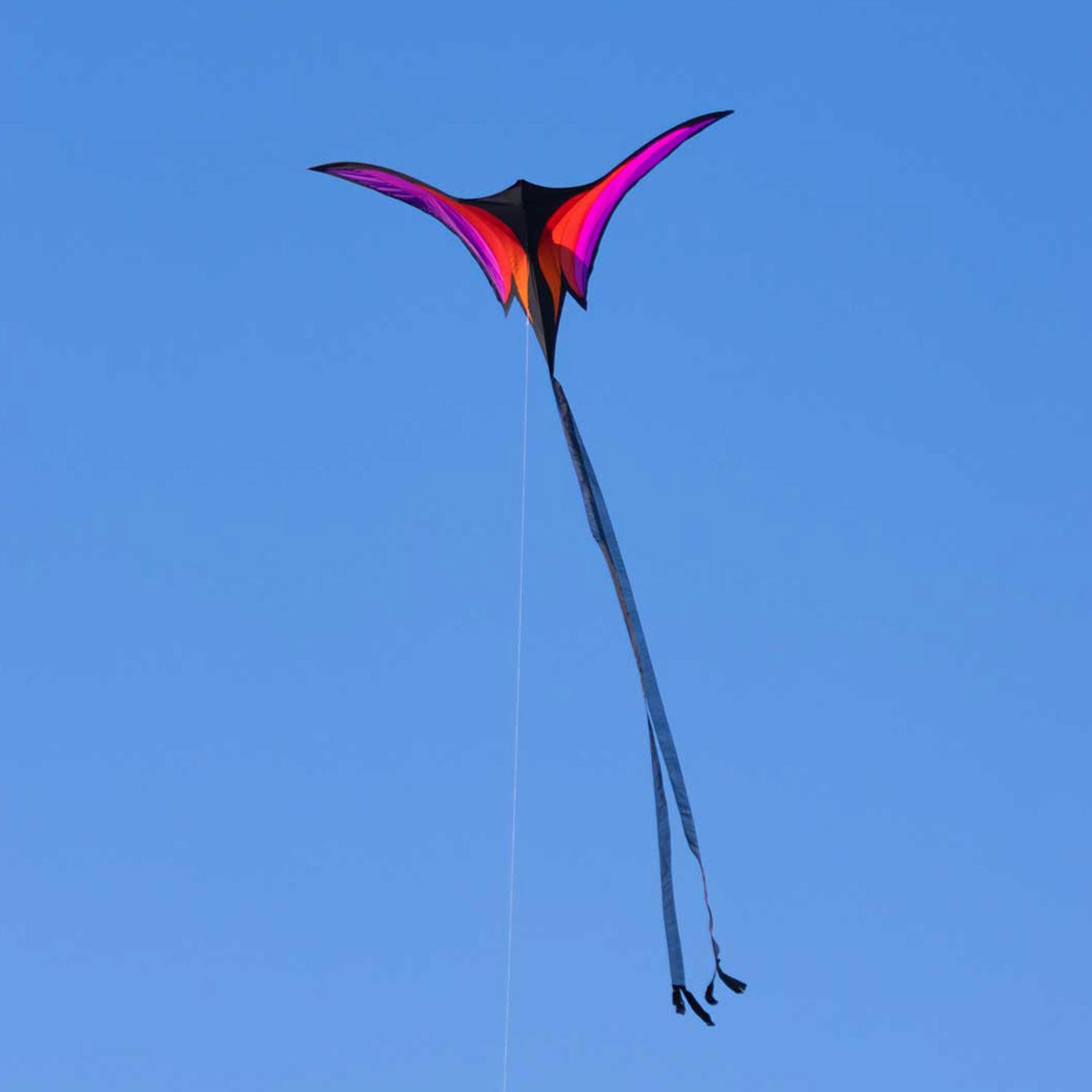 HQ Einleiner Drachen Brasington´s Ravenswing 178 cm