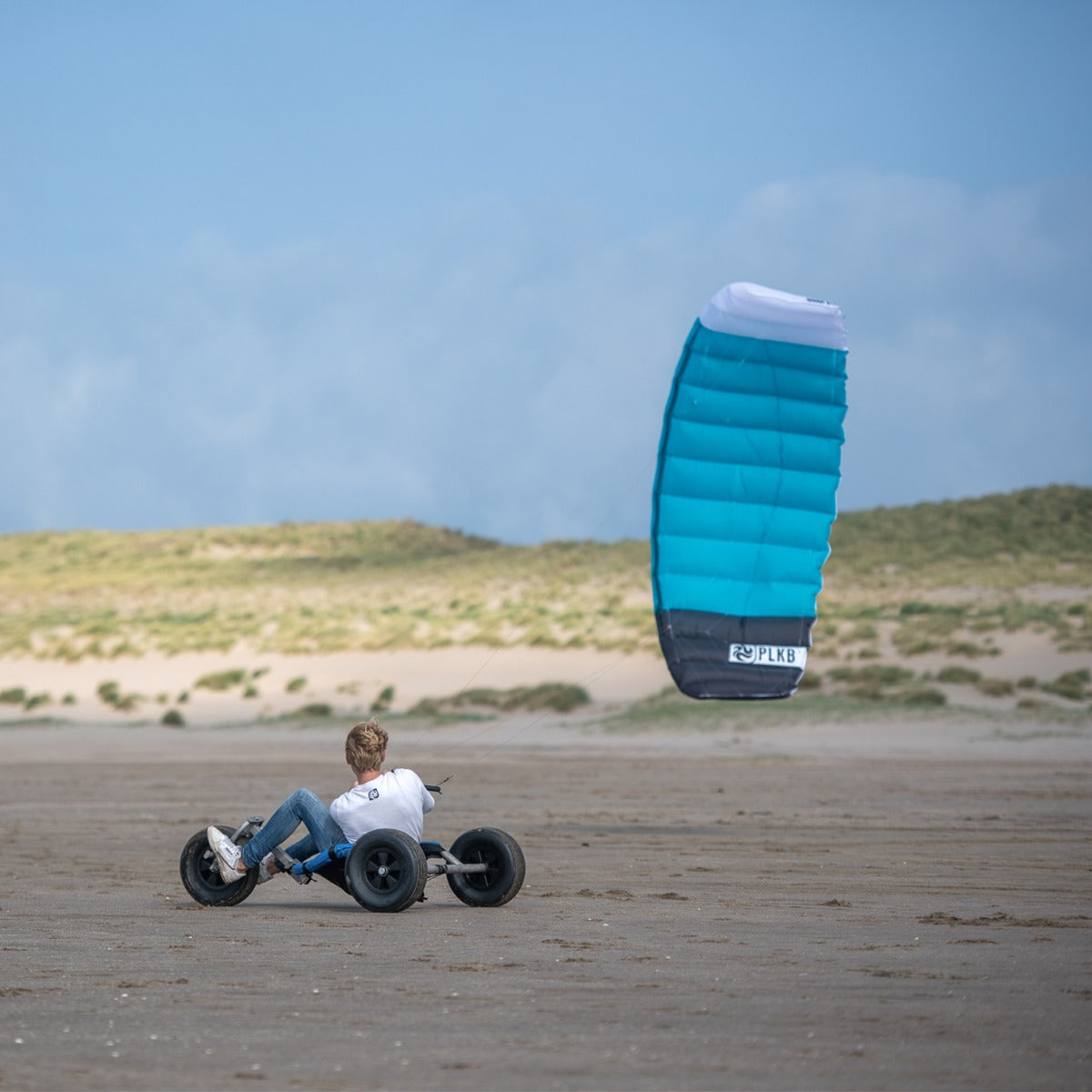 Lenkmatte Peter Lynn Hornet 6.0 Vierleiner Drachen Powerkite PLKB Hornet 6.0 Handles Lenkdrachen Kite