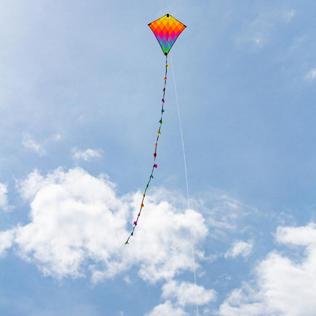 Kinderdrachen Einleiner Eddy Rainbow Patchwork 50 cm HQ Drachen