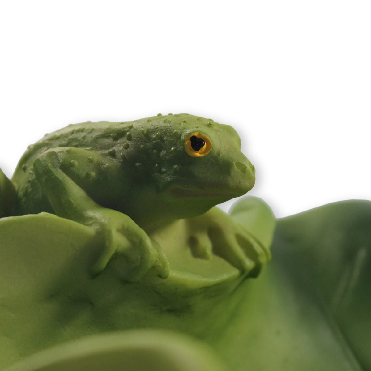 Vogeltränke Frosch Tränke Futterstelle Wildtiere Vogelbad