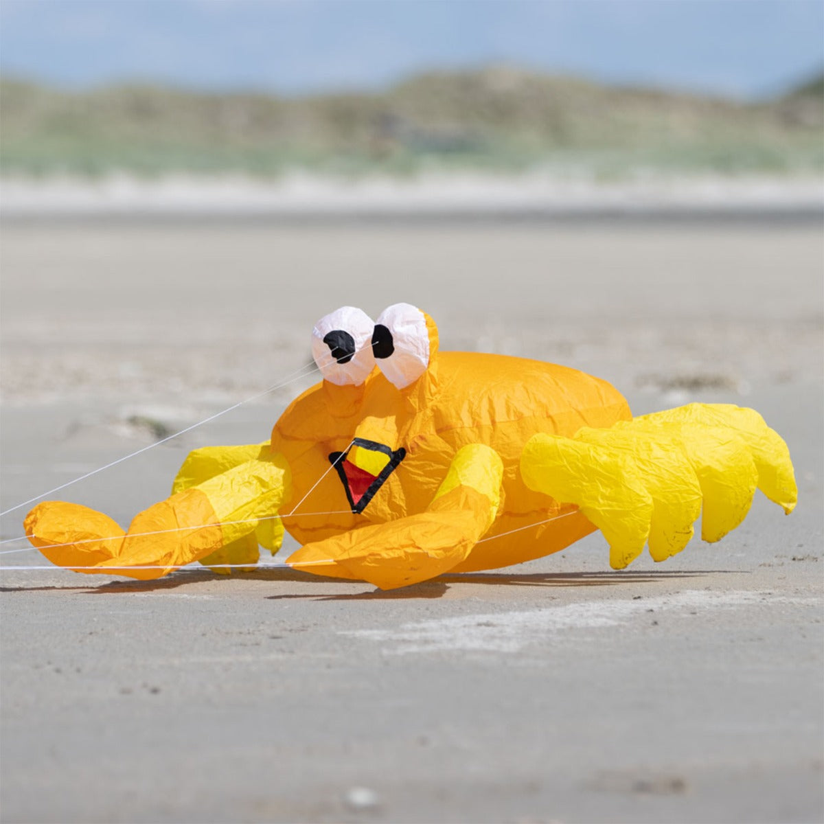 Bodenwindspiel HQ Bouncing Buddy Billy the Crab bunte Windspiele für den Garten oder Strand