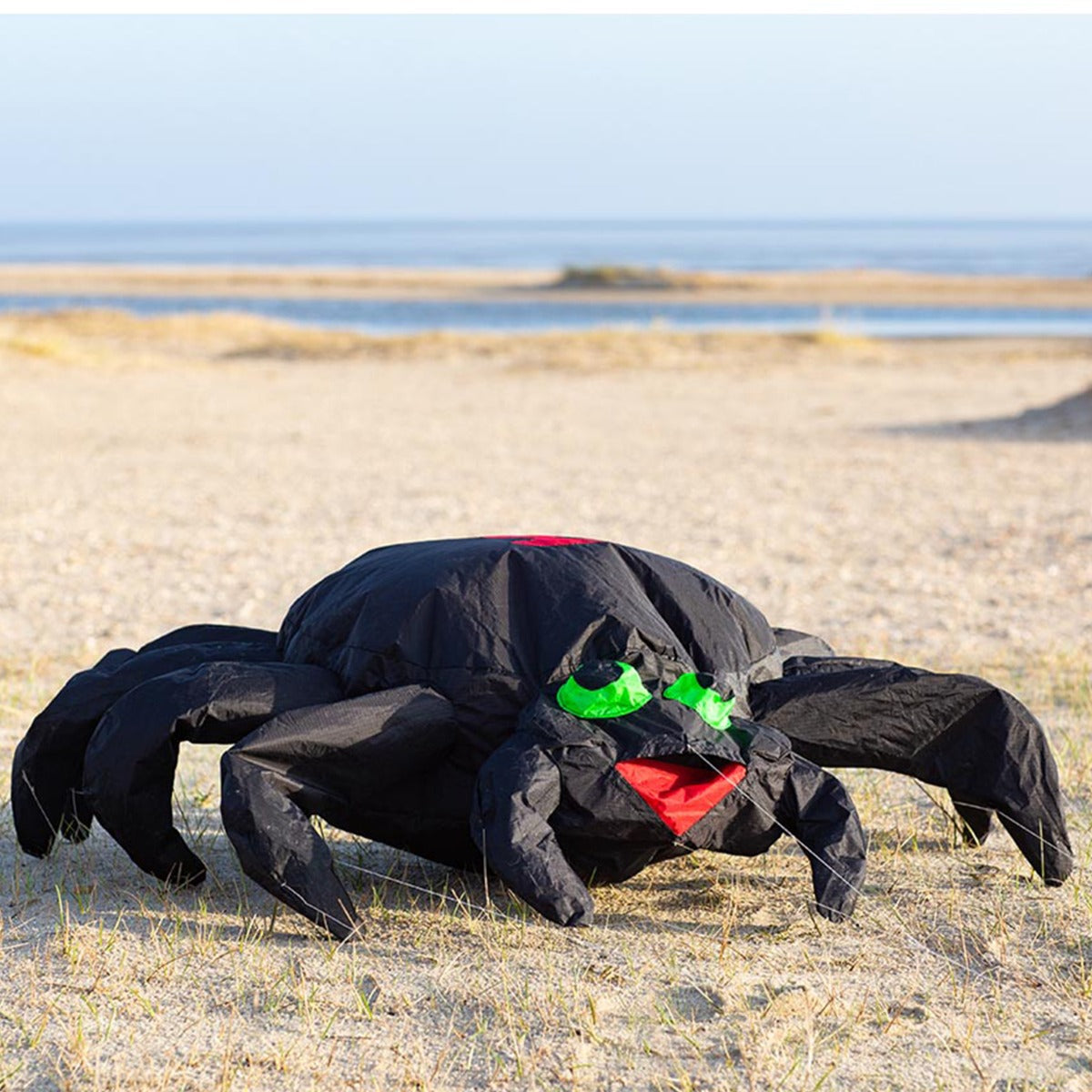 Bodenwindspiel HQ Bouncing Buddy Spider Windspiel für den Garten oder Strand