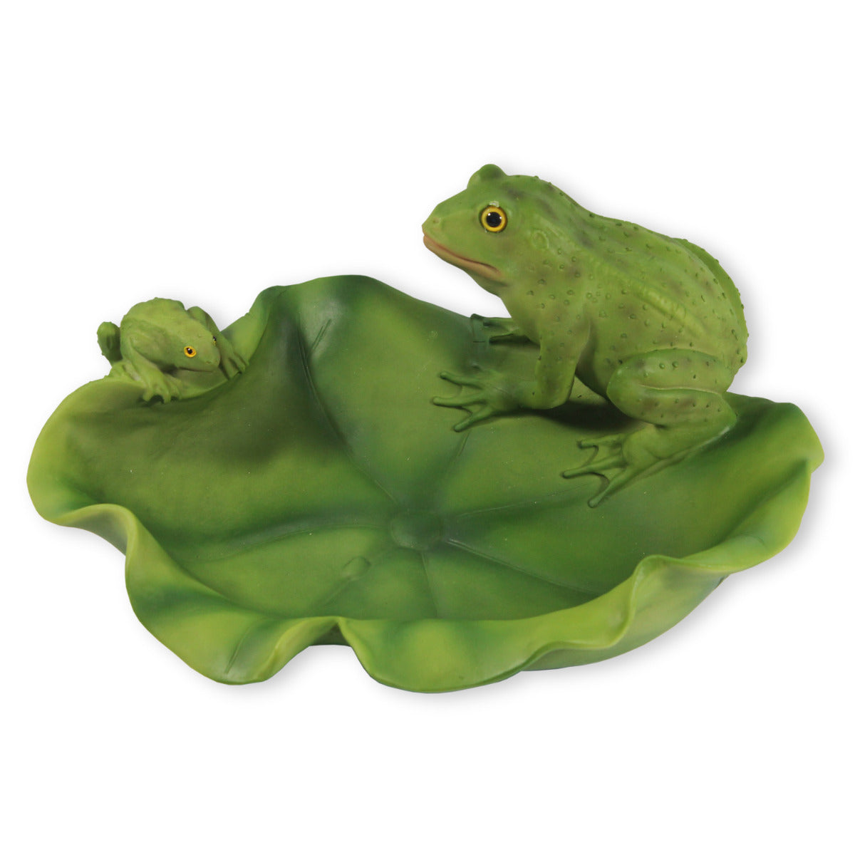 Vogeltränke Frosch Tränke Futterstelle Wildtiere Vogelbad