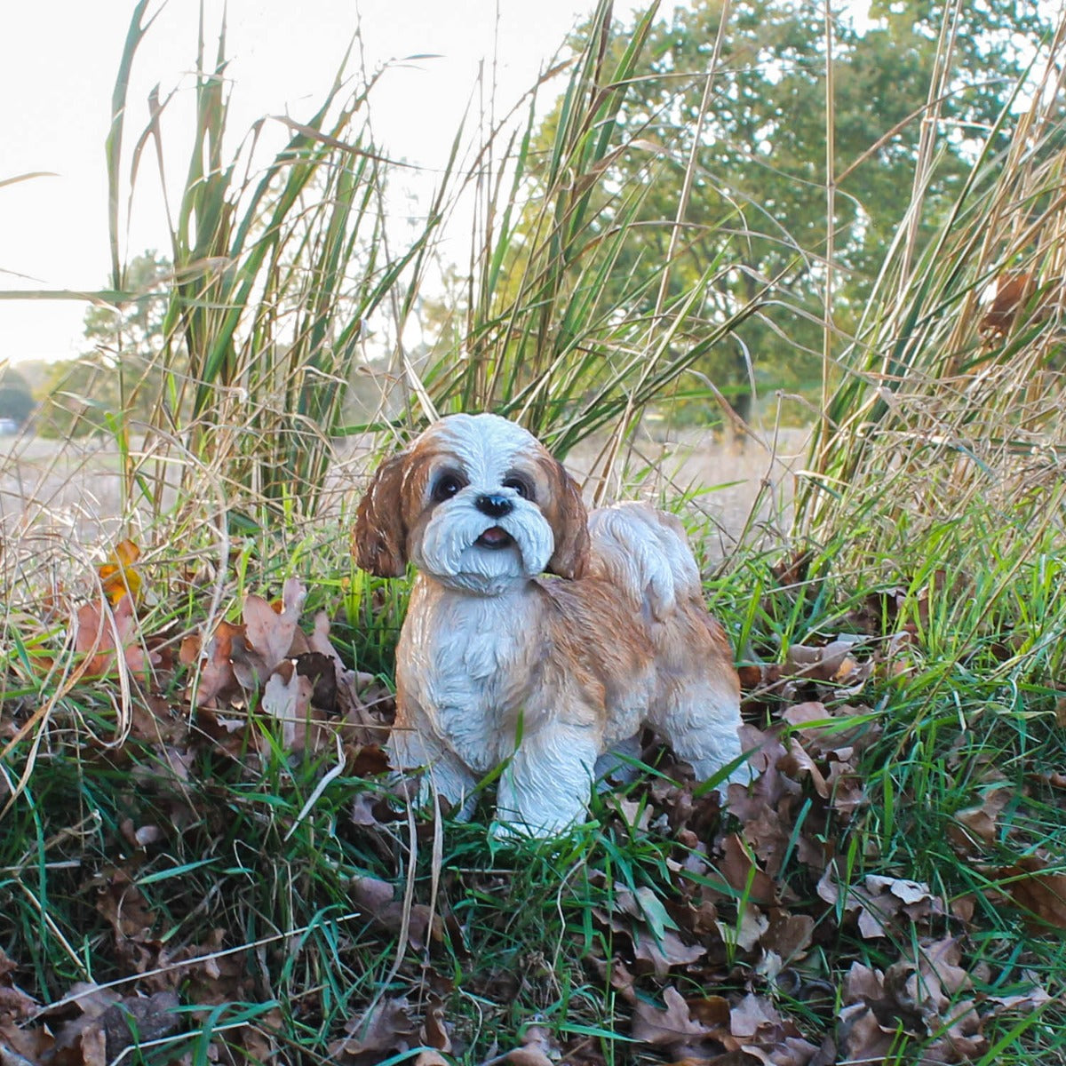 Hunde Figur Shih Tzu Welpe stehend Hund Tierfigur Hundefigur