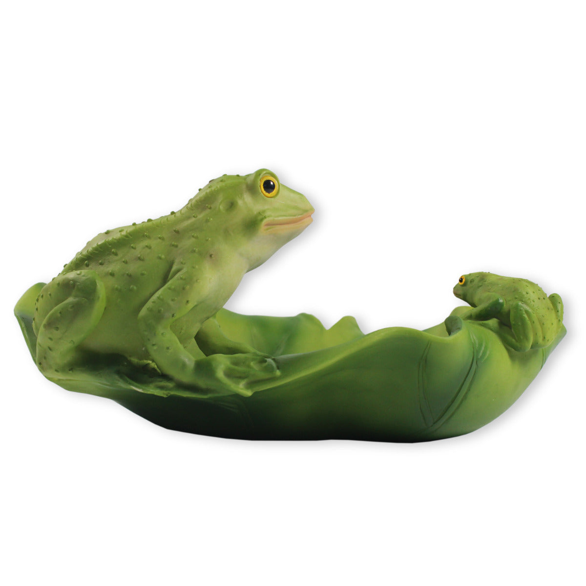 Vogeltränke Frosch Tränke Futterstelle Wildtiere Vogelbad