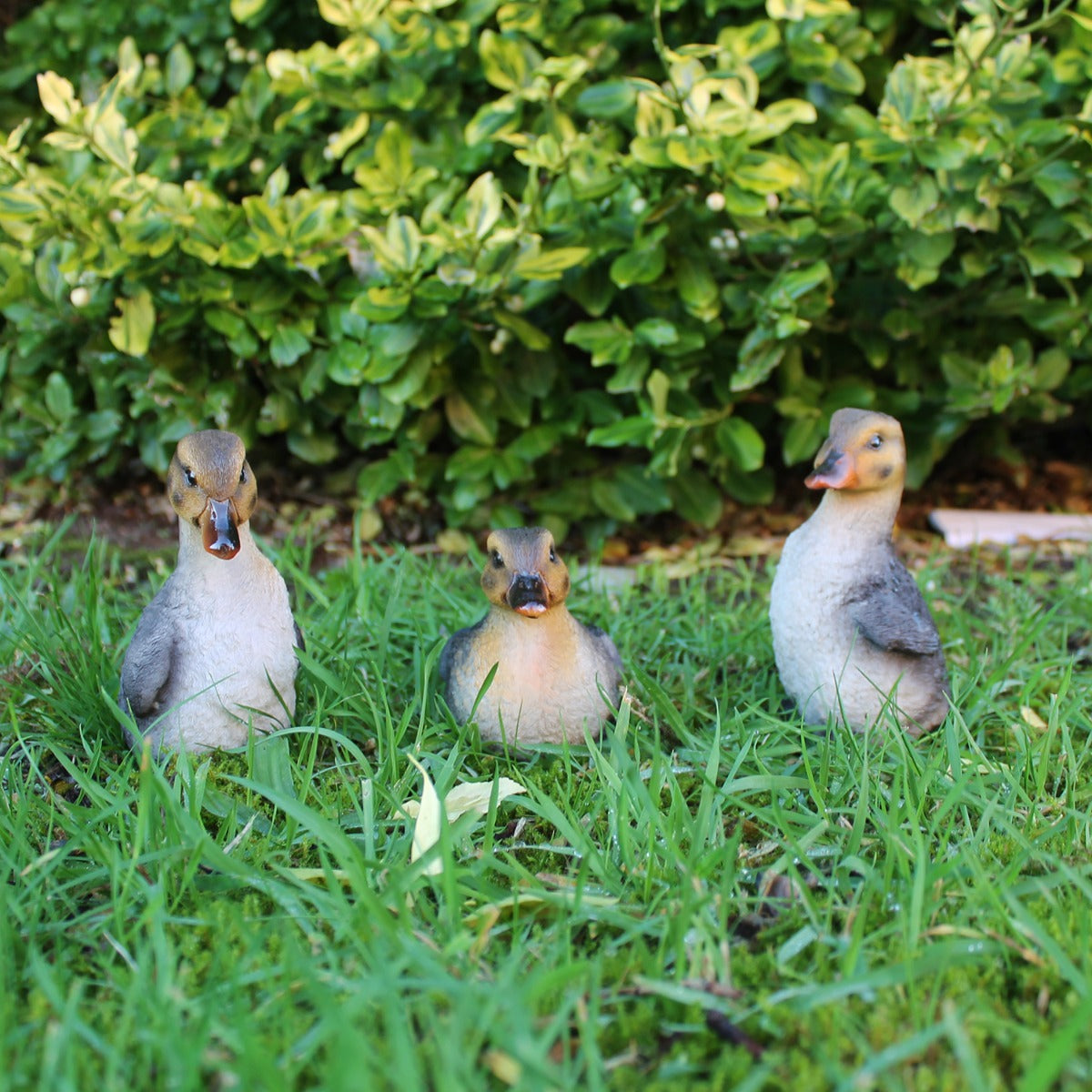 Enten Figur 3er Set sitzend Deko Enten Garten Bauernhof Tierfigur Gartenfigur Entchen