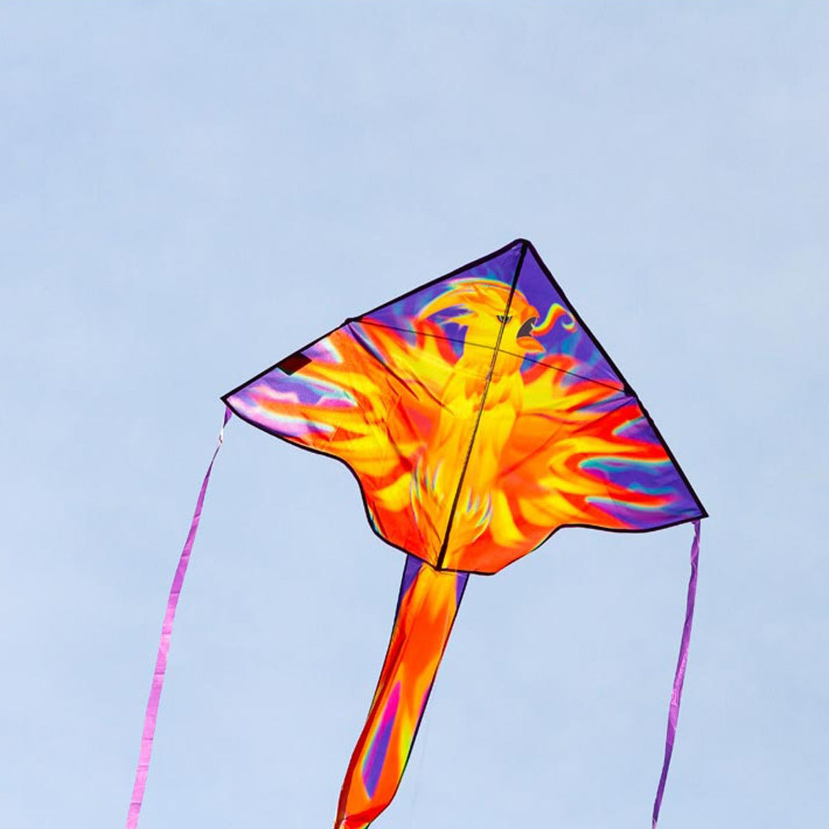 Kinderdrachen Einleiner Drachen HQ Simple Flyer Phoenix 120 cm Flugdrachen