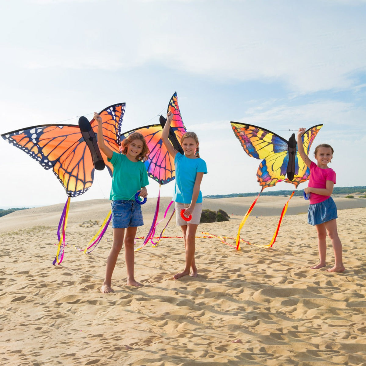 Kinderdrachen Einleiner Butterfly Kite Swallowtail L Schmetterling HQ Drachen