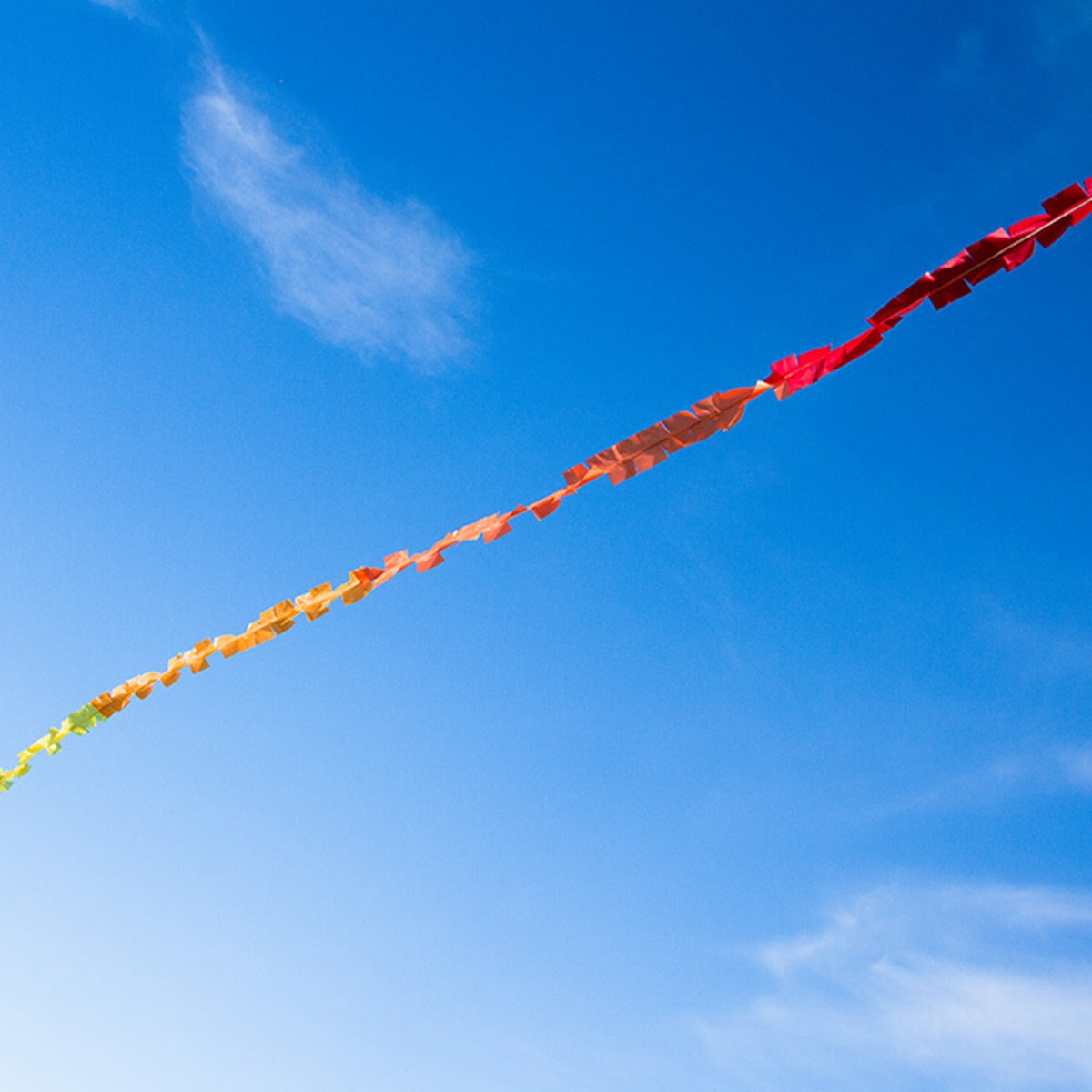 Drachenchwanz HQ Fuzzy Tail 20 m Fransenschwanz Rainbow Leinenschmuck