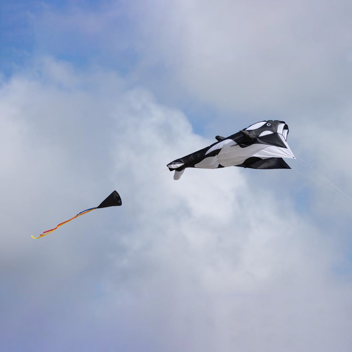 Kinderdrachen Einleiner HQ Parafoil Kite Orca Drachen