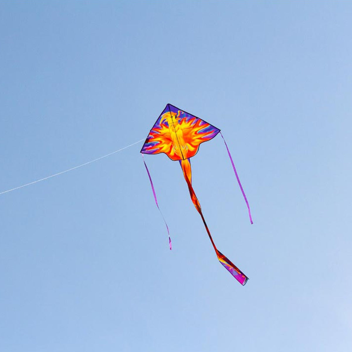 Kinderdrachen Einleiner Drachen HQ Simple Flyer Phoenix 120 cm Flugdrachen