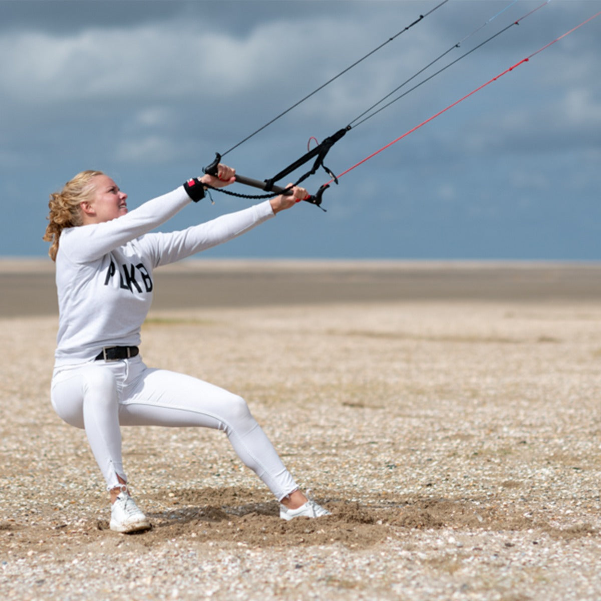Lenkmatte Peter Lynn Hornet 3.0 Vierleiner Drachen Powerkite PLKB Hornet 3.0 Controlbar Lenkdrachen Kite