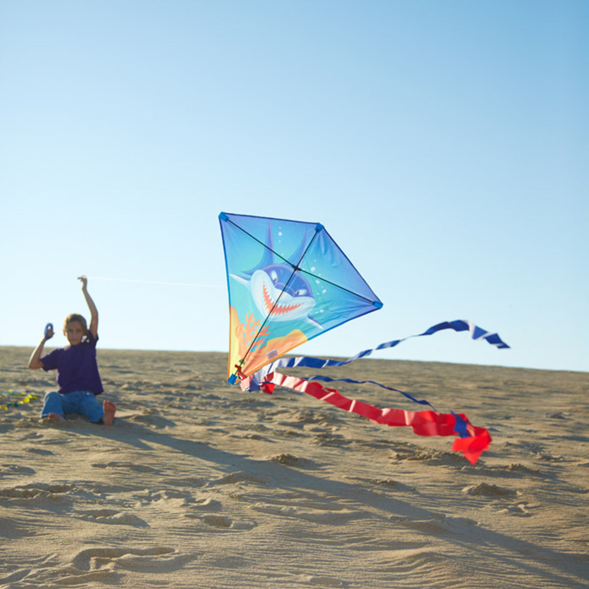 Kinderdrachen Einleiner Drachen HQ Eddy Sharky Hai Flugdrachen