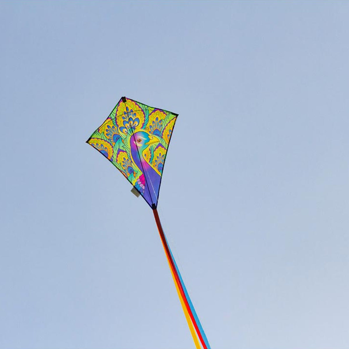 Kinderdrachen Einleiner Drachen HQ Eddy Peacock Pfau Flugdrachen