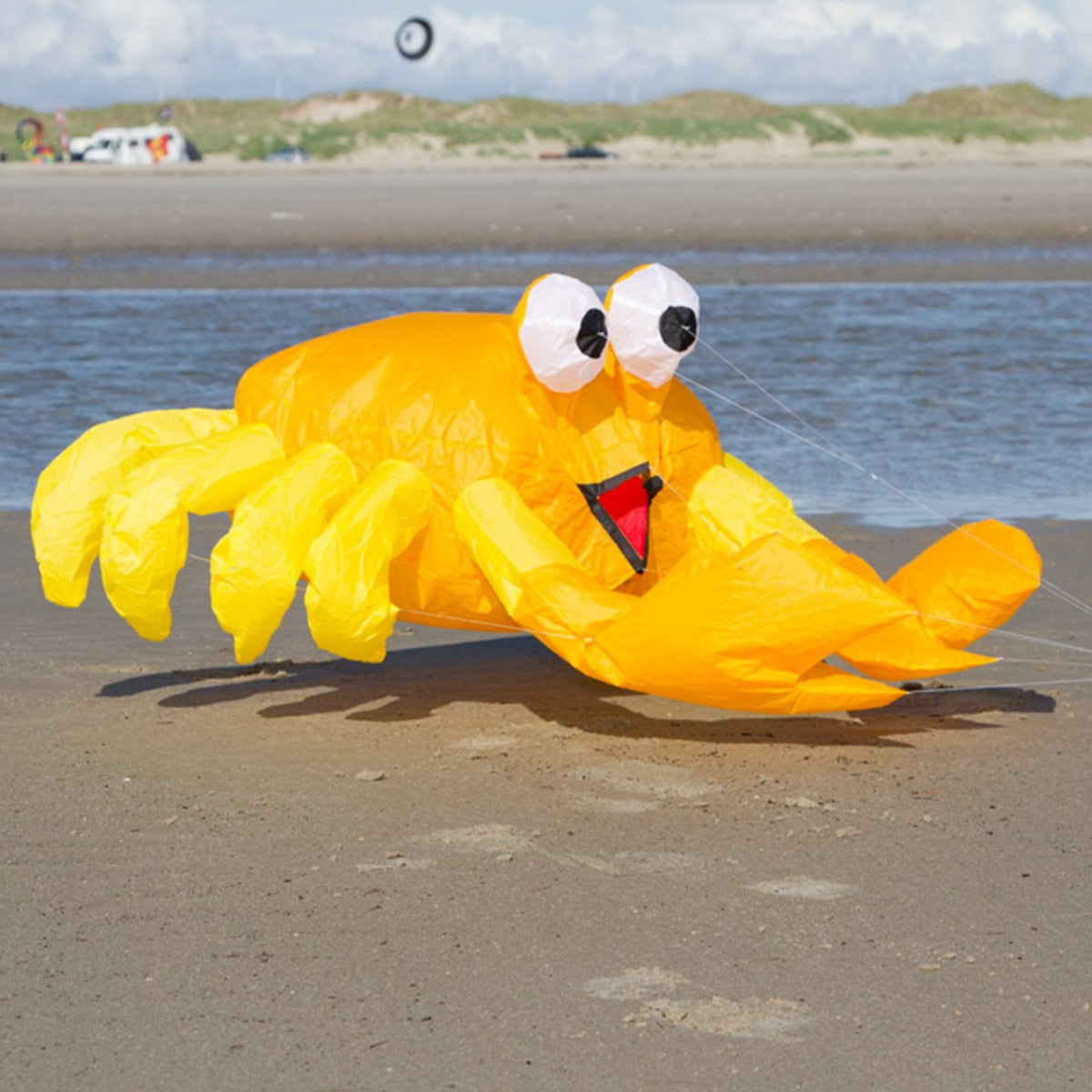 Bodenwindspiel HQ Bouncing Buddy Billy the Crab bunte Windspiele für den Garten oder Strand