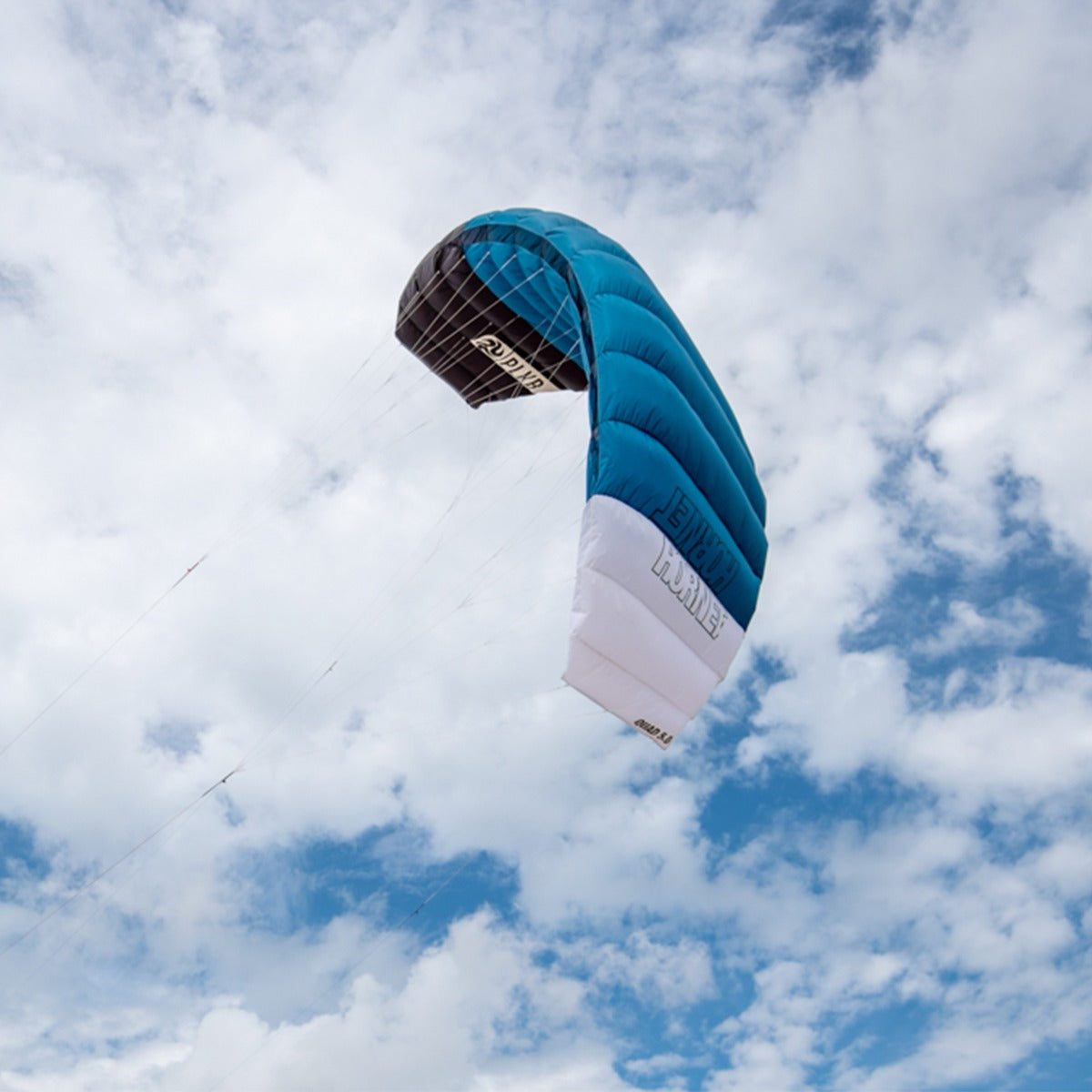 Lenkmatte Peter Lynn Hornet 5.0 Vierleiner Drachen Powerkite PLKB Hornet 5.0 Controlbar Lenkdrachen Kite