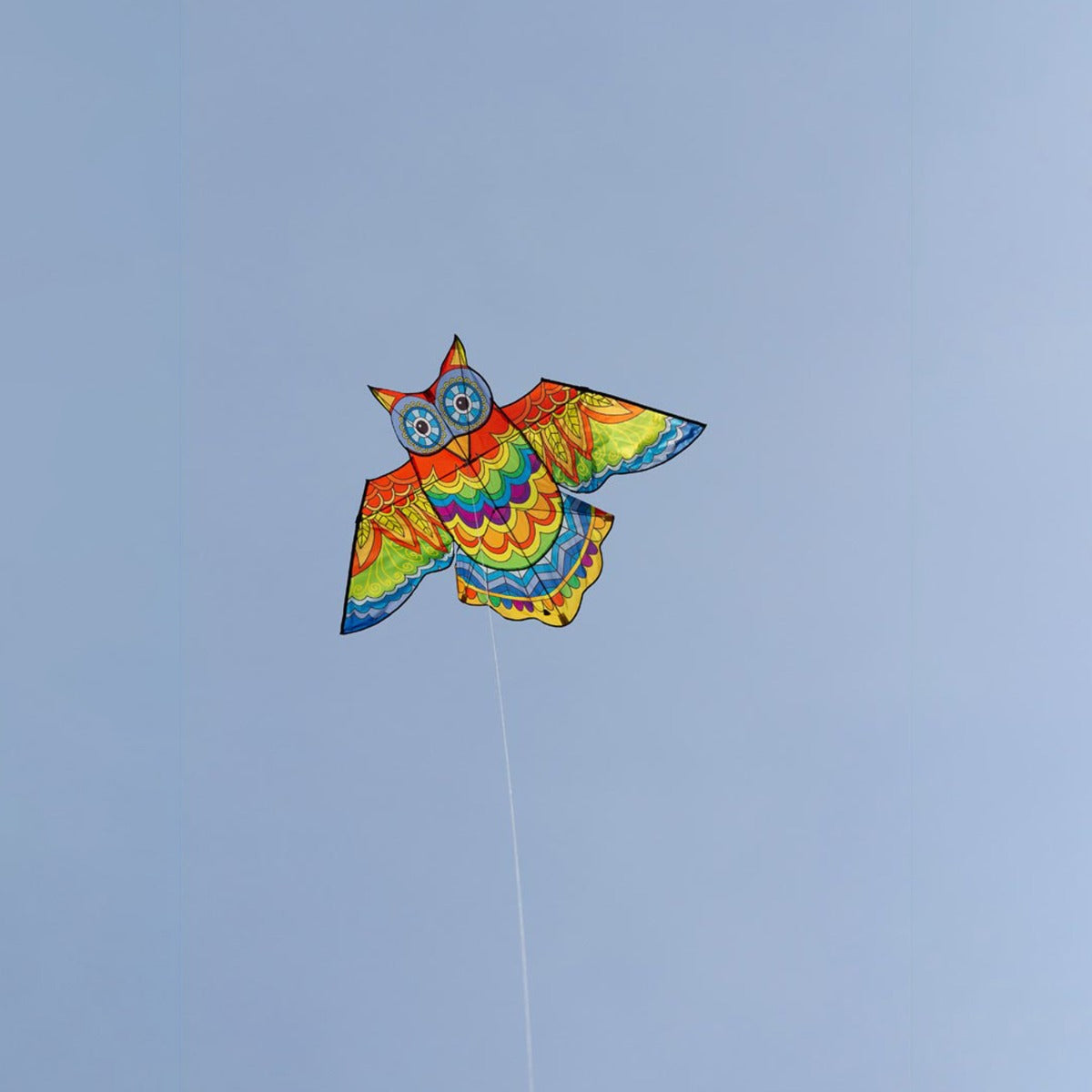Kinderdrachen Einleiner Jazzy Owl Kite Eule HQ Drachen