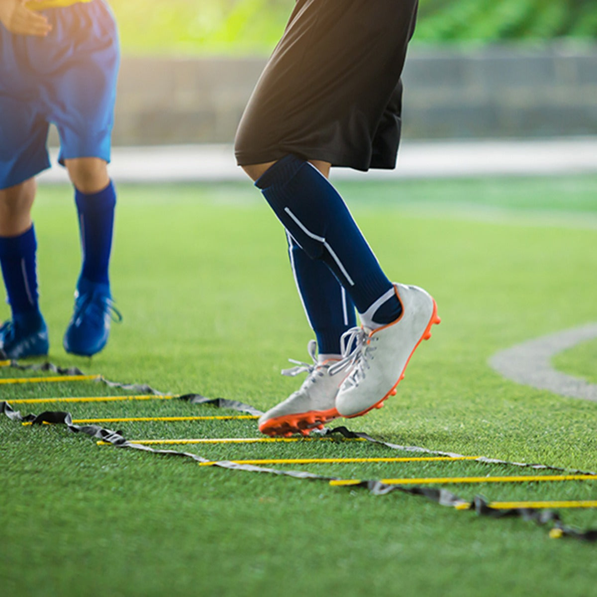 Koordinationsleiter und 8 Kegel Agility Trainingsset Koordinations Trainigsset