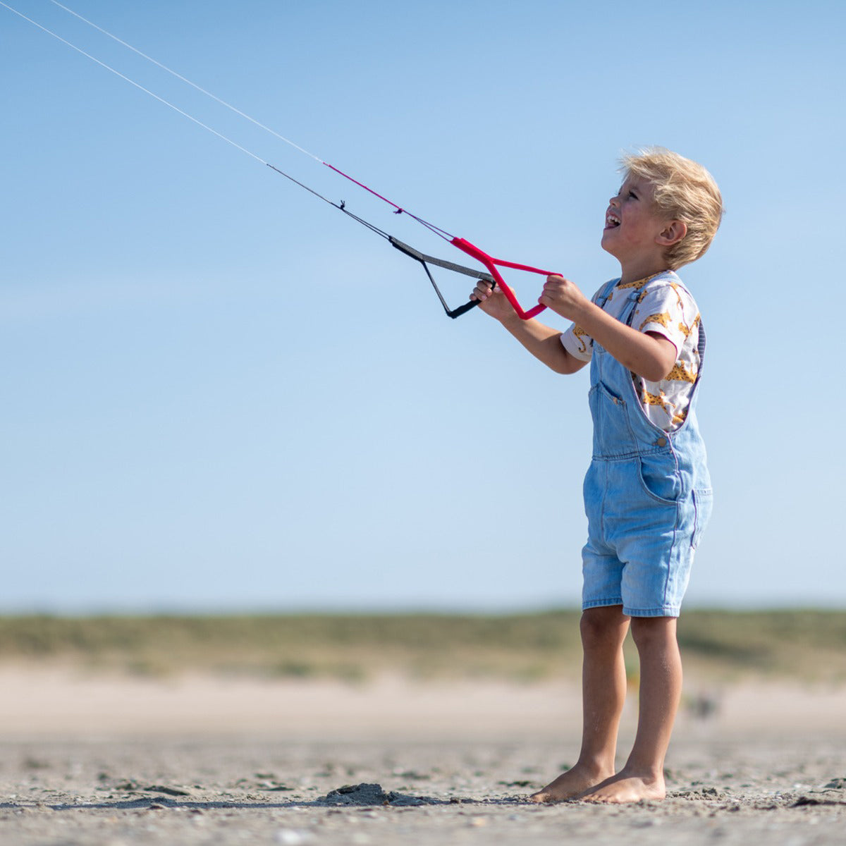 Peter Lynn Lenkmatte PLKB Hype Play 2.3 Complete Lenkdrachen Matte Allround R2F Kite Matte