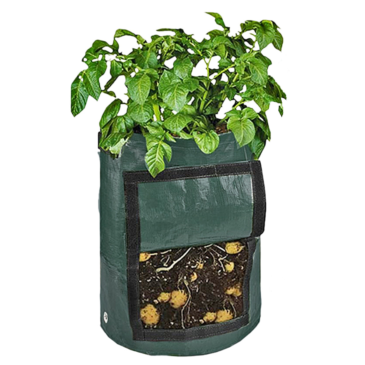 Kartoffelpflanztasche 2er Set Kartoffeln im Sack anbauen