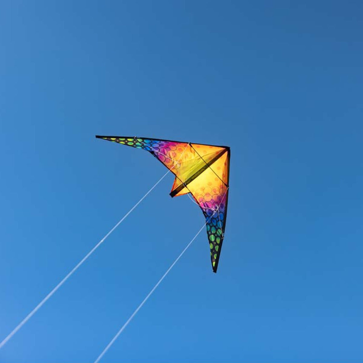 Kinderdrachen Lenkdrachen Drachen HQ Quick Rainbow Bubbles 115 cm Flugdrache