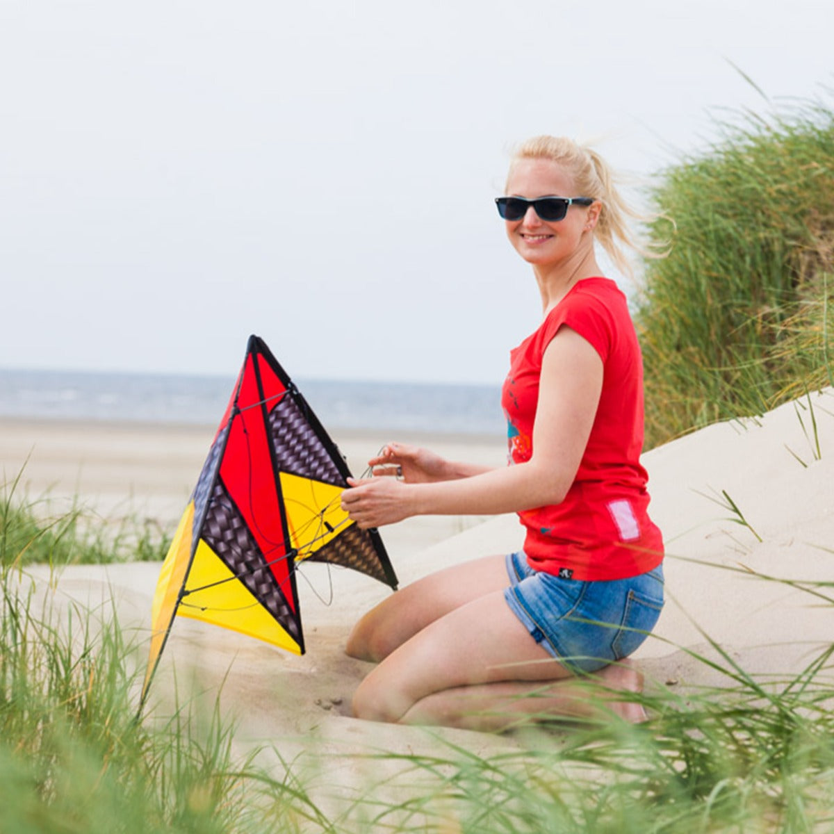 Lenkdrachen HQ Quickstep II Graphite Allround Drachen