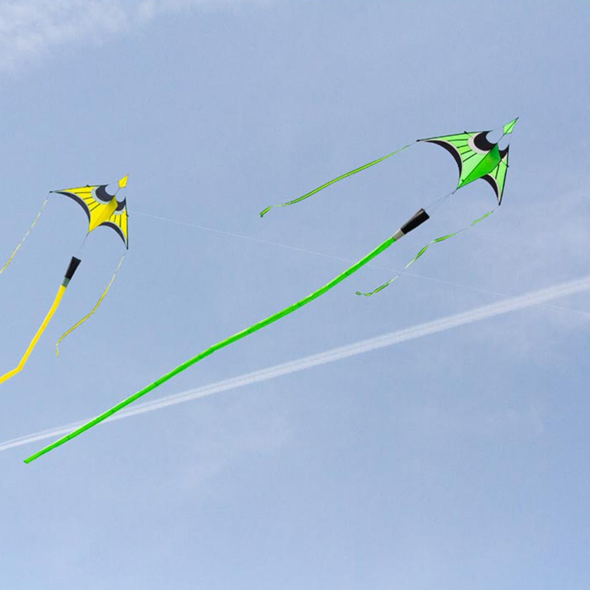 Kinderdrachen Einleiner Drachen HQ Hoffmanns Canard Delta Lime Flugdrache