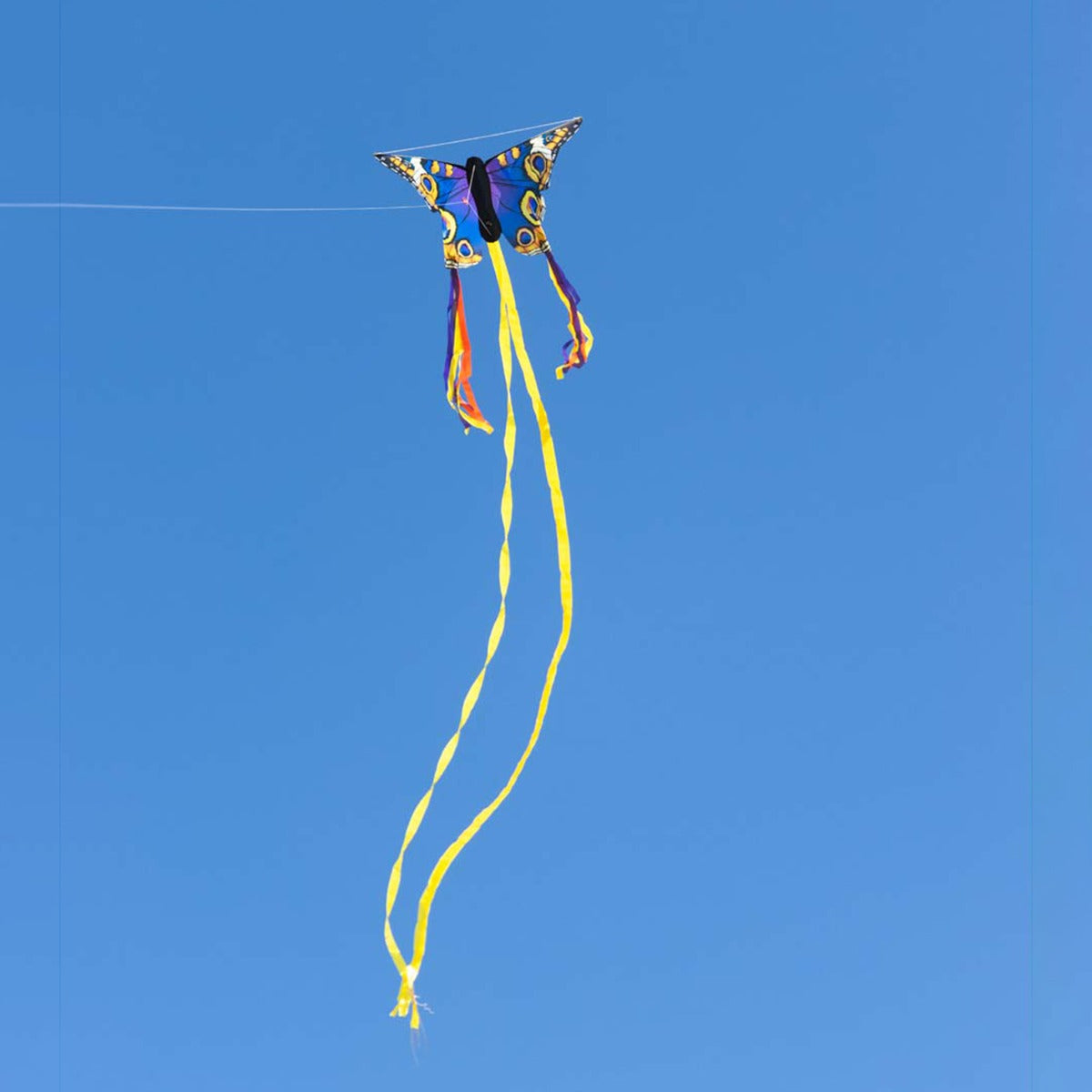 Kinderdrachen Einleiner Butterfly Kite Buckeye R Schmetterling HQ Drachen